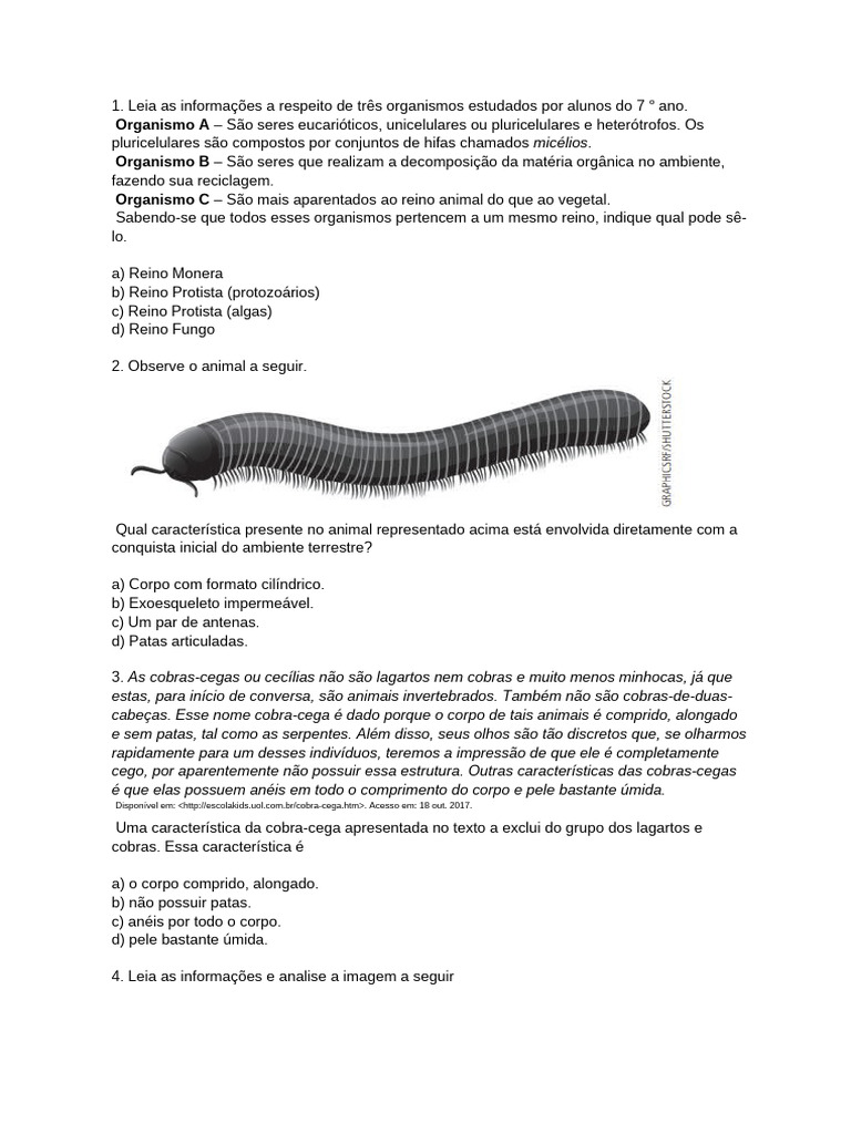 Questões sobre o Reino Animal 7º Ano | PDF | Organismos | Esponja