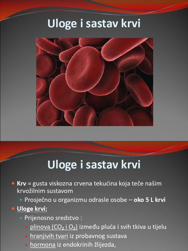 Uloge I Sastav Krvi | PDF