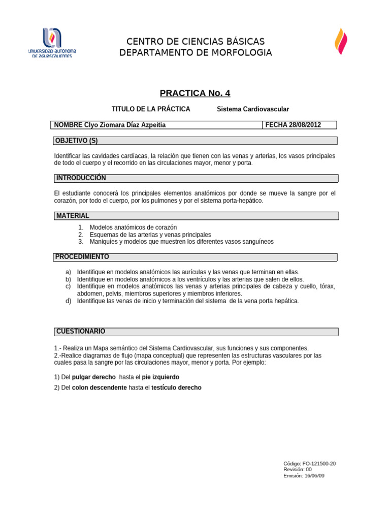 BRG Practica No 04 Sist Cardiovasc | PDF | Sistema circulatorio | Vena