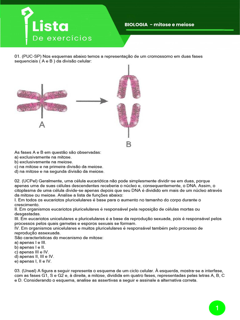 Testes sobre Mitose e Meiose em Biologia | PDF | Mitose | Meiose