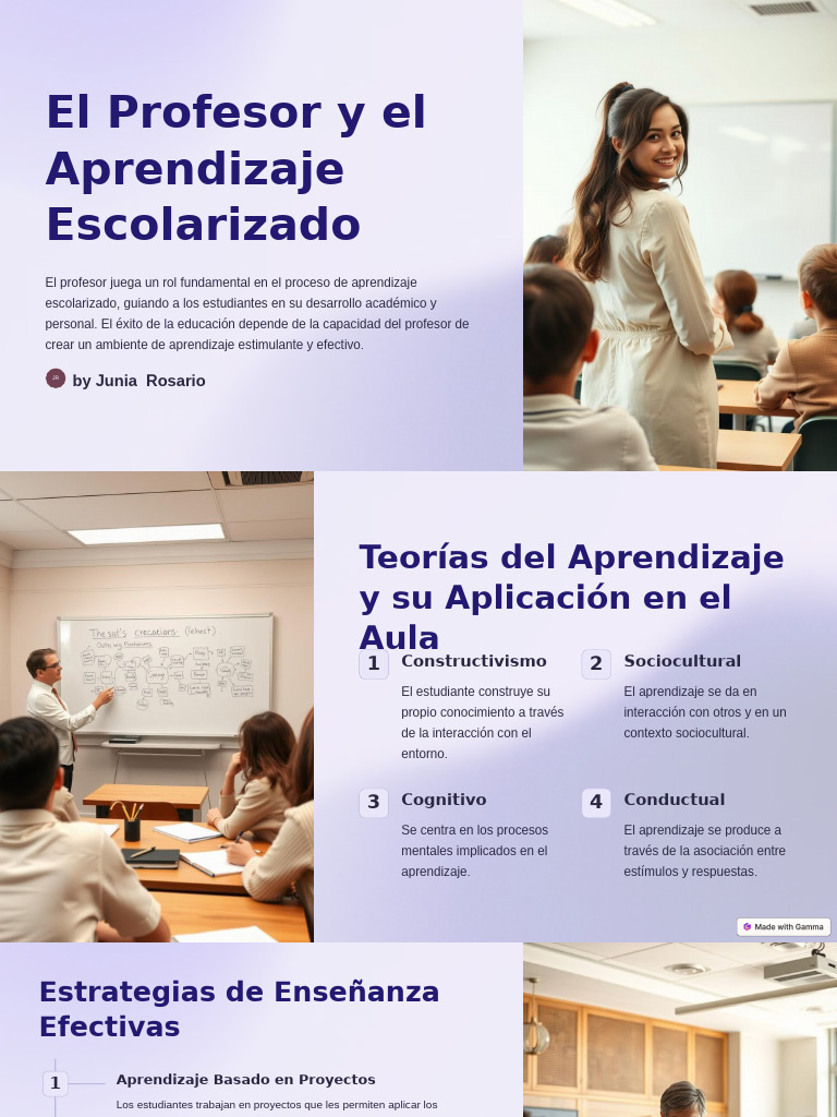 El Profesor y El Aprendizaje Escolarizado 1 | PDF | Aprendizaje | Maestros