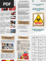 Manejo y Clasificación de RPBI | PDF | Sangre | Anatomía