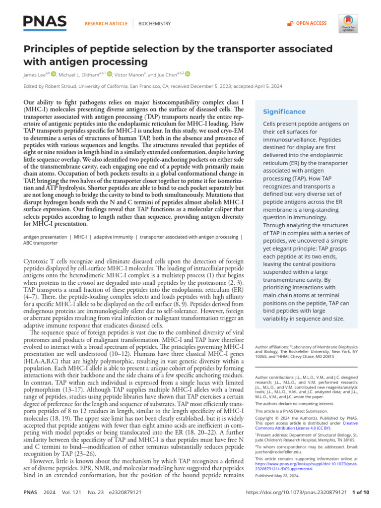 Lee Et Al 2024 Principles of Peptide Selection by The Transporter ...