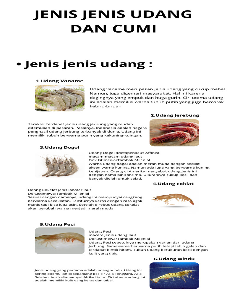 Jenis-Jenis Udang Laut di Indonesia | PDF