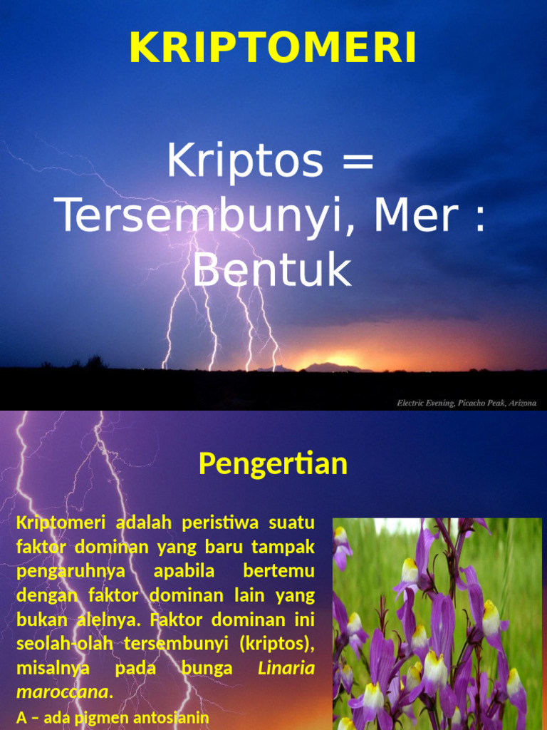 Definisi dan Contoh Kriptomeri | PDF