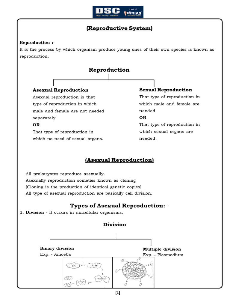 Asexual and Sexual Reproduction Explained | PDF | Seed | Flowers