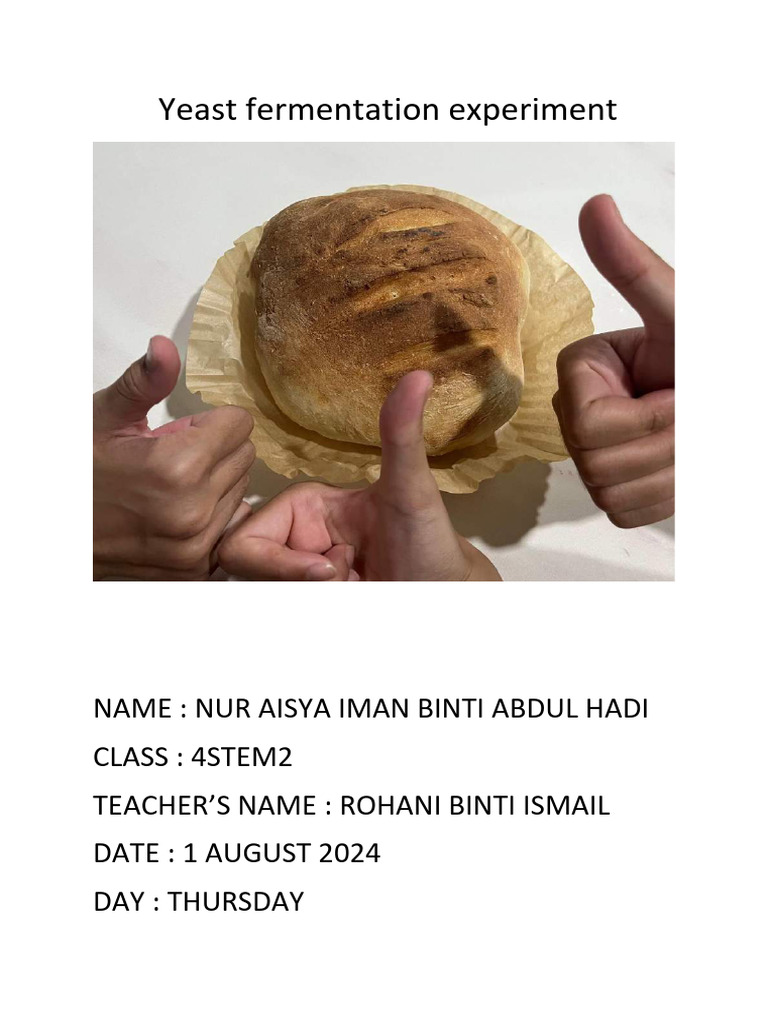 Yeast Fermentation Experiment Compressed Pdf Fermentation