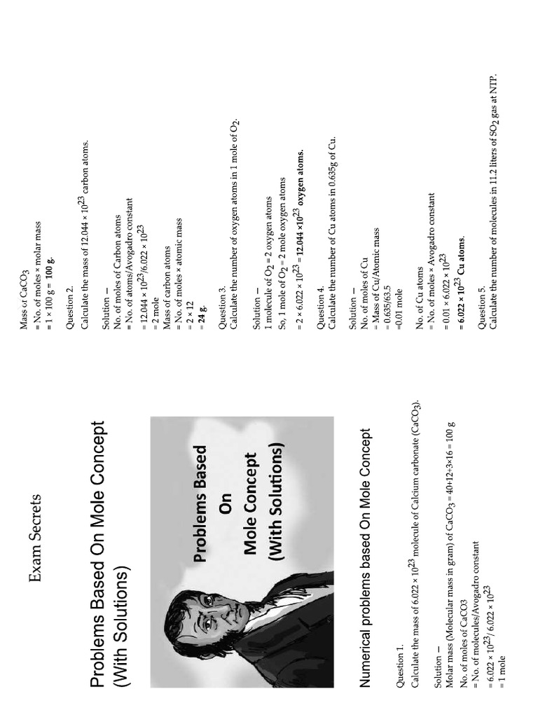 Mole Math | PDF