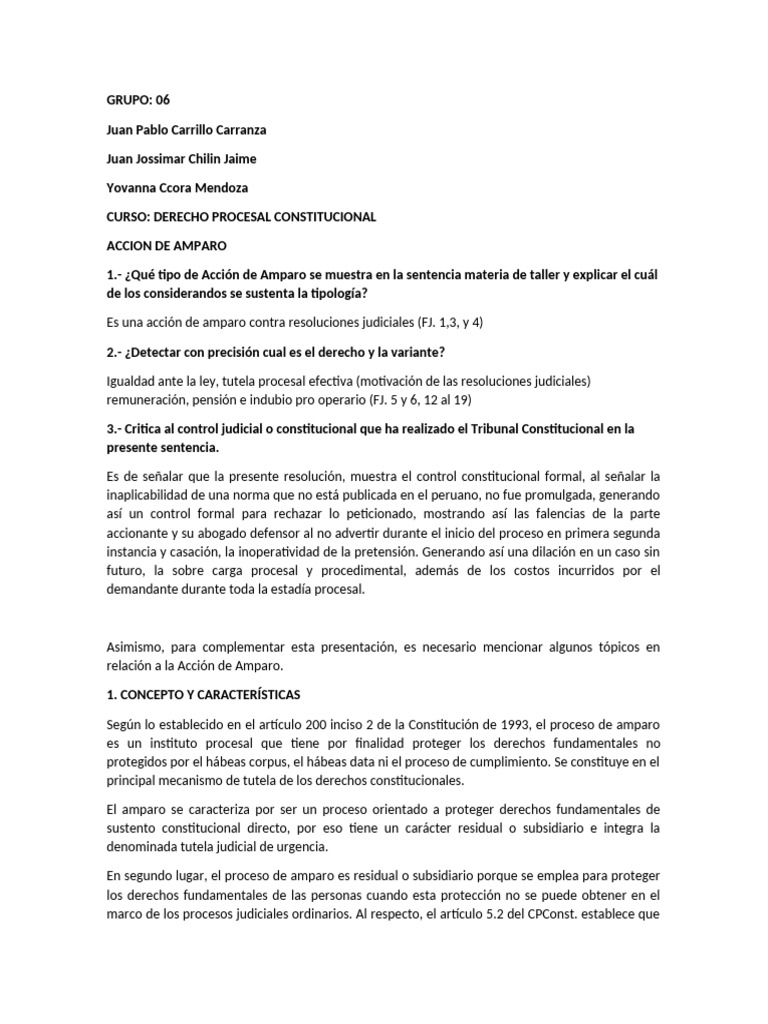Accion de Amparo | PDF | Habeas corpus | Derechos