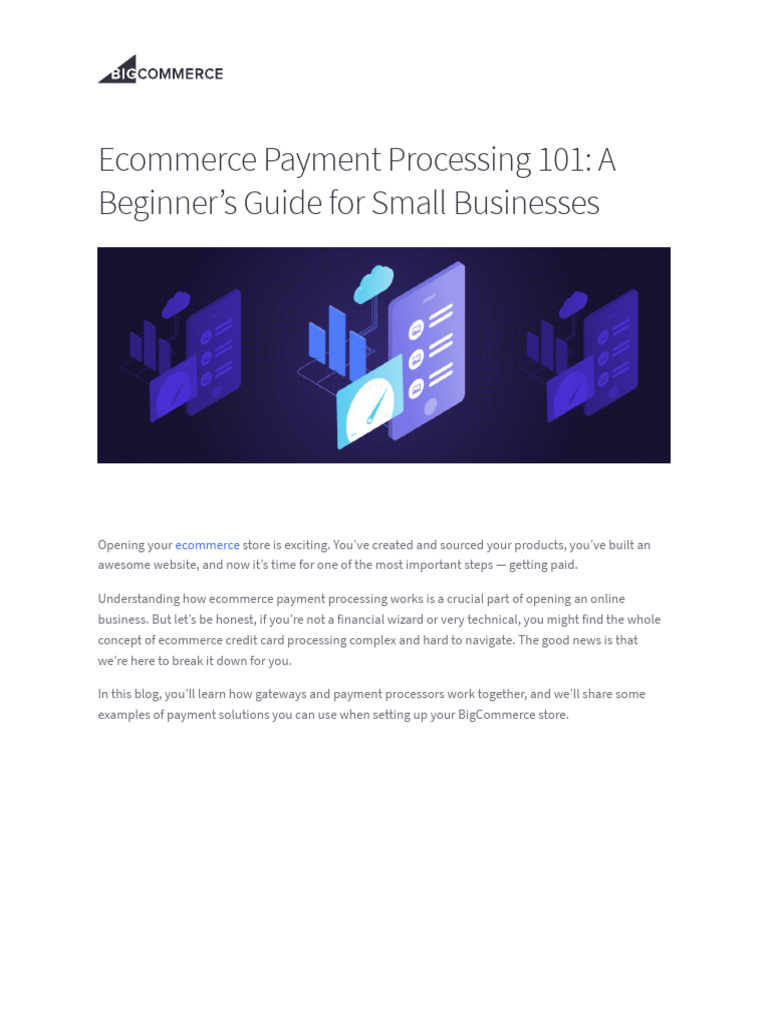 Payment Processing for Small Biz | PDF | Pay Pal | Credit Card