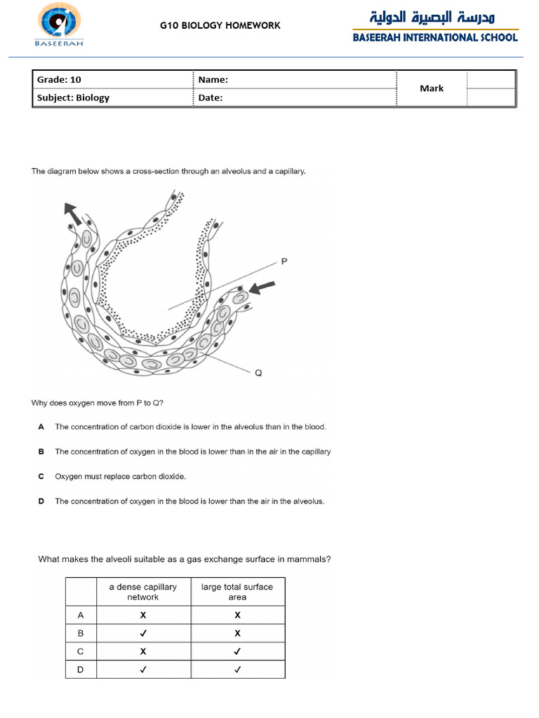 G10 Biology Gas Exchange Homework | PDF
