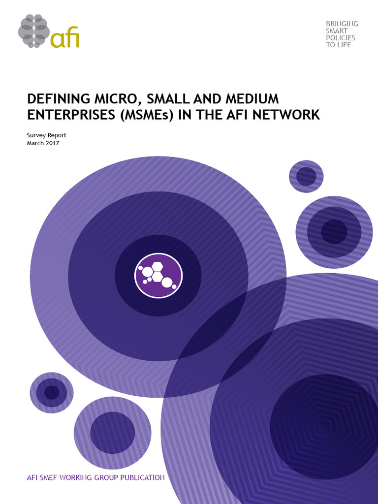 Defining MSMEs in the AFI Network | PDF | Small And Medium Sized ...