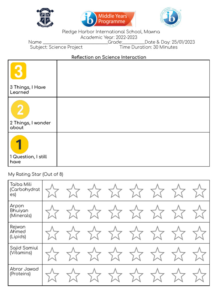 Science Project Reflection Template | PDF