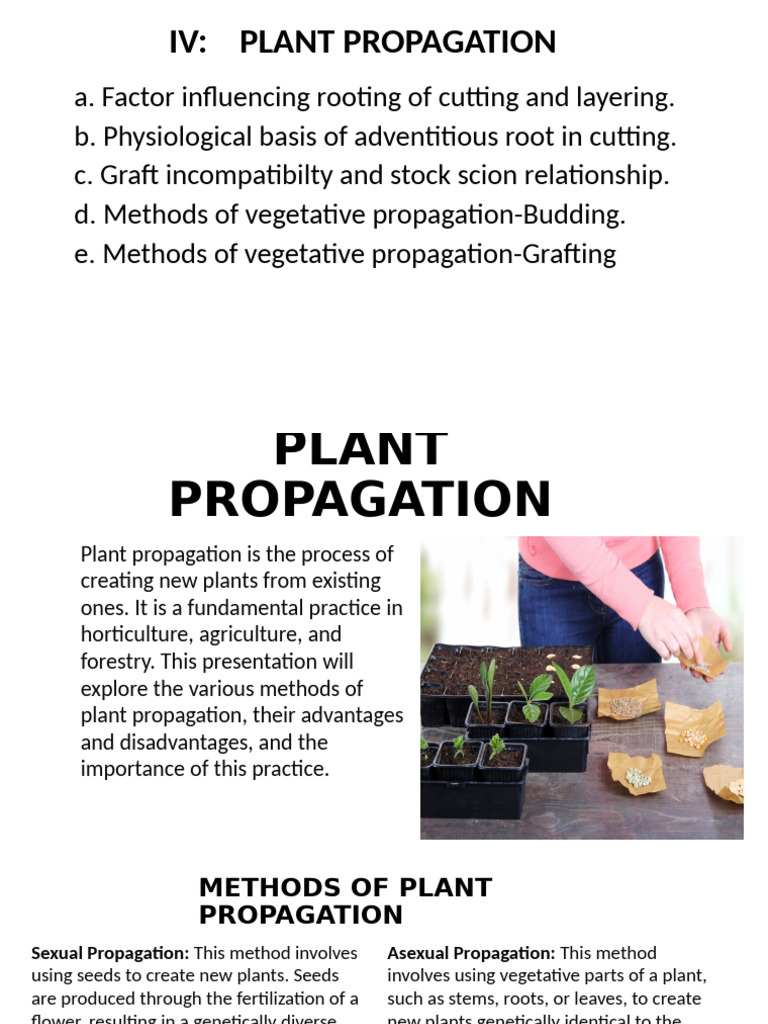 Methods of Plant Propagation Explained | PDF | Grafting | Root