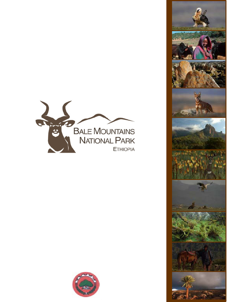 Bale Mountains National Park Management Plan | PDF | Natural Resource ...