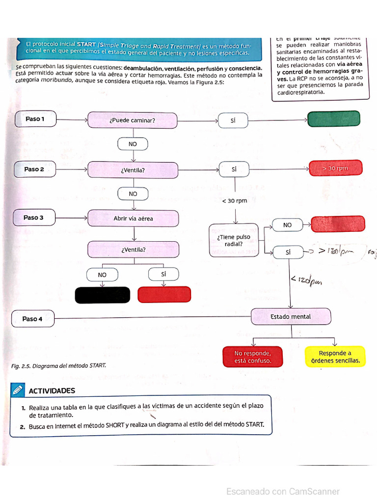 Protocolo START | PDF
