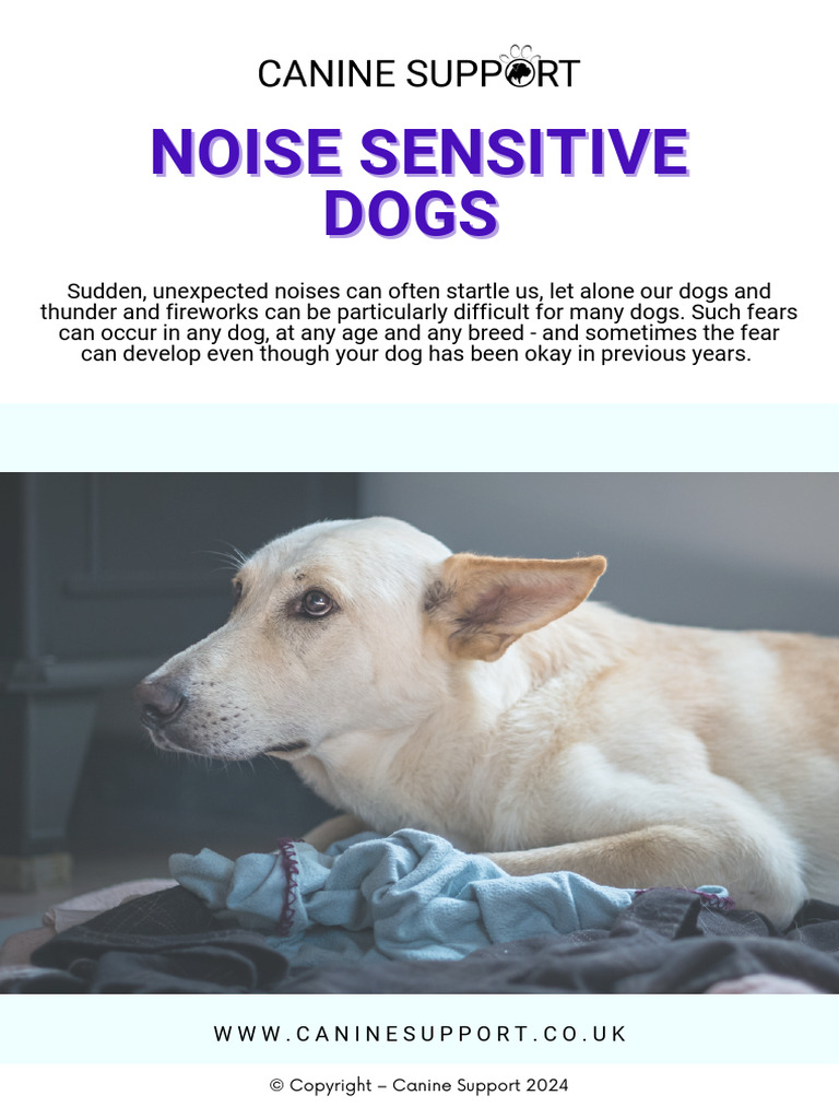 Noise Sensitive Dogs Ebook | PDF | Anxiety | Dogs - Noise Issues With Outdoor Dogs