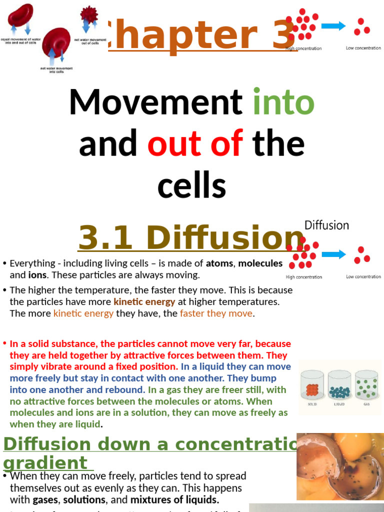 Understanding Cell Movement: Diffusion & Osmosis | PDF | Osmosis ...