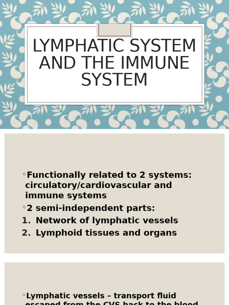 Lymphatic System and The Immune System | PDF | Lymphatic System ...