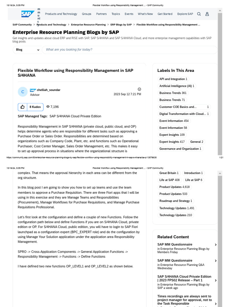 Managing Teams in SAP Flexible Workflow | PDF | Enterprise Resource ...