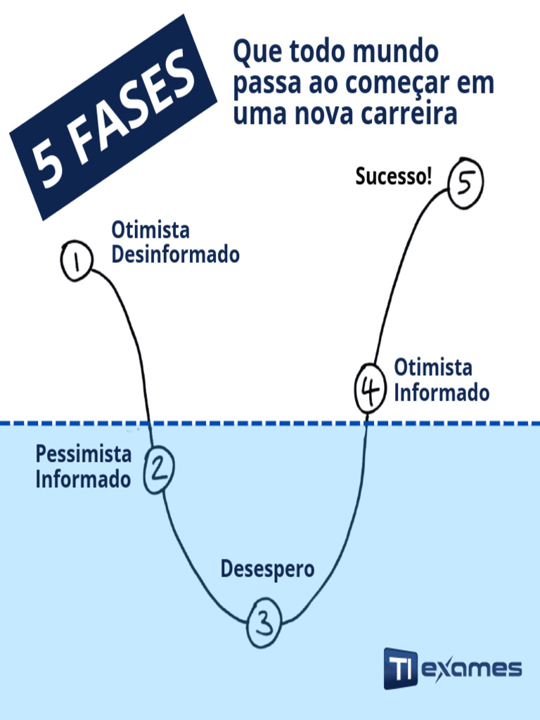 Fases da Mudança de Carreira | PDF