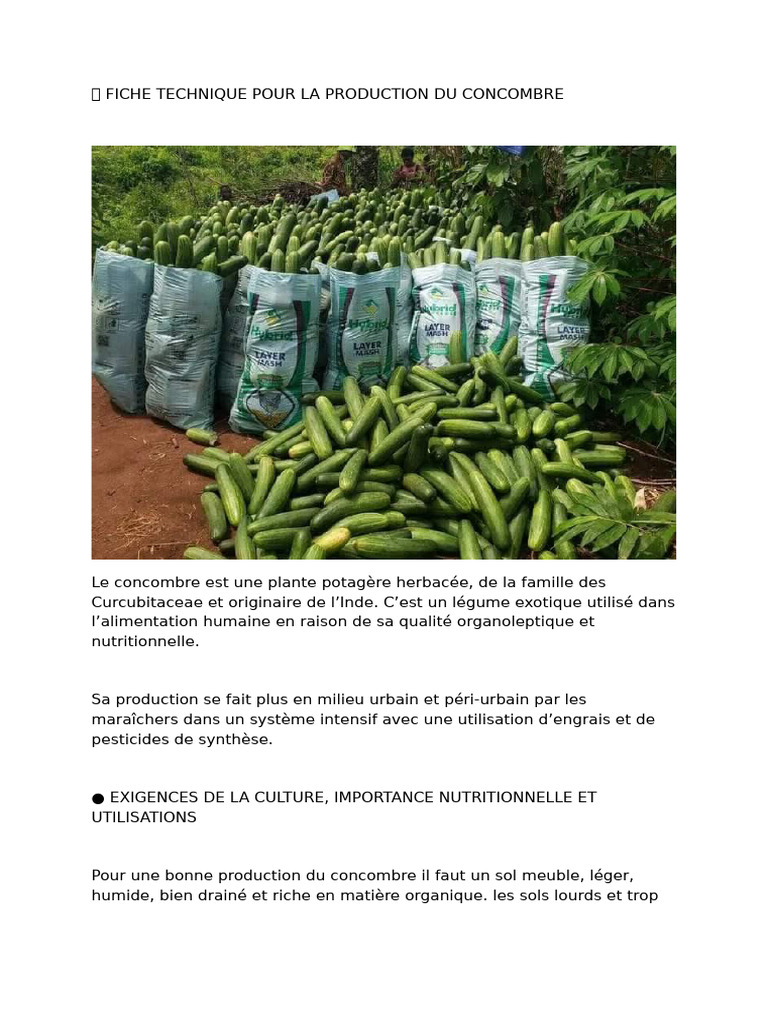 Fiche Technique de Culture du PDF Fertilisant Agriculture — free download
