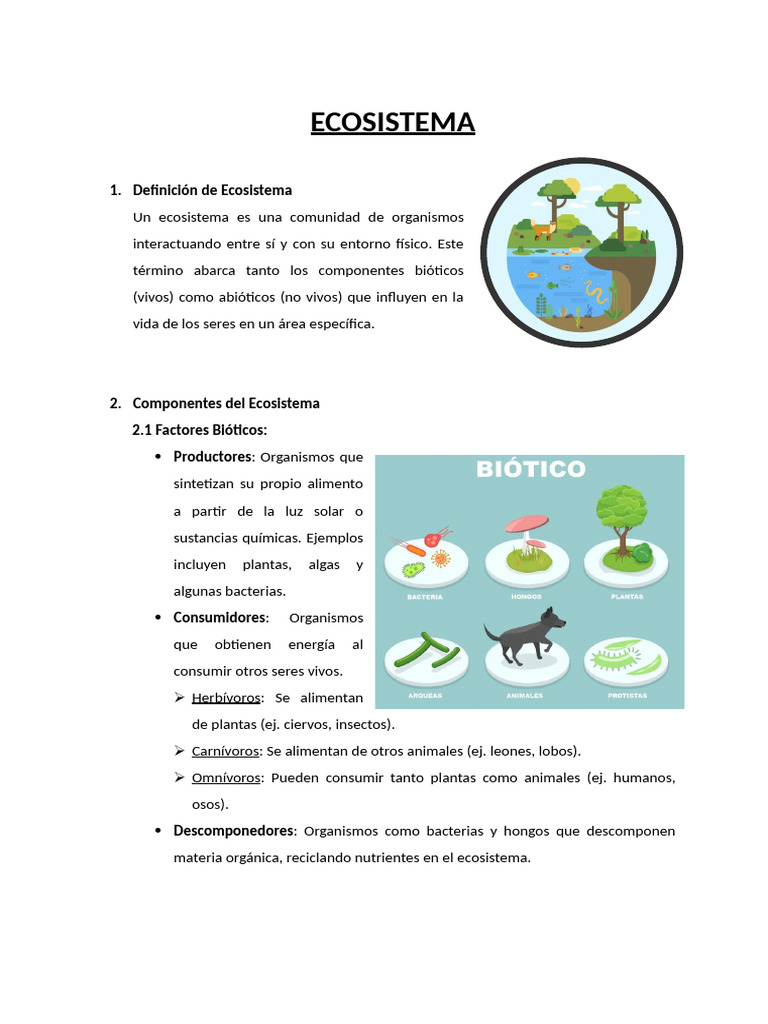 Guía Completa de Ecosistemas | PDF | Ecosistema | Suelo