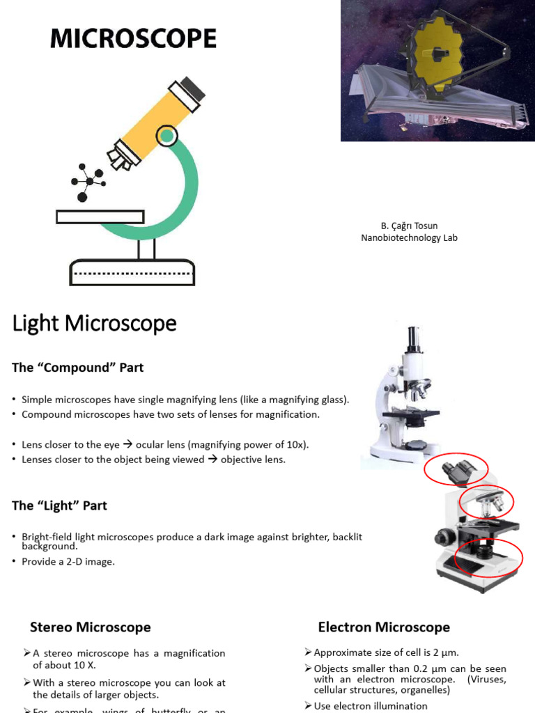 Understanding Light and Electron Microscopes | PDF | Microscope ...