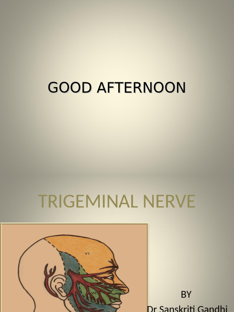 1. Trigeminal Nerve | PDF | Nervous System | Neuroanatomy