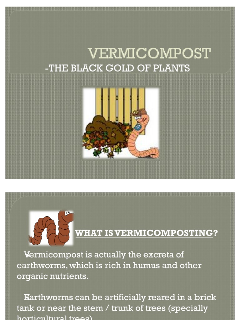 Marketing plan of organic fertilizer image