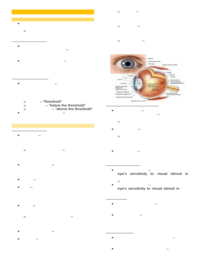 Understanding Sensation and Perception | PDF | Senses | Perception