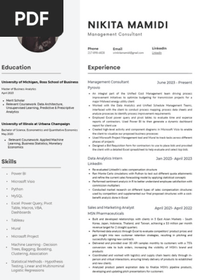 Professional Modern CV Resume