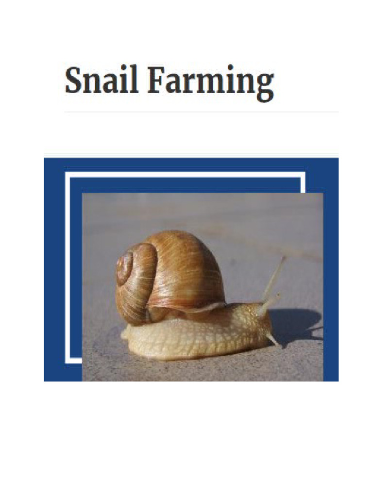 Snail | PDF