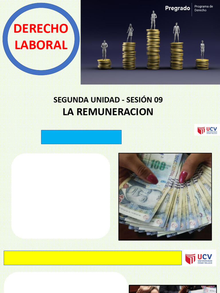 Características y Tipos de Remuneración Laboral | PDF | Salario ...