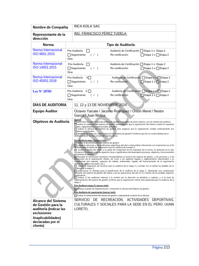 Plan de Auditoría ISO RICA KOLA SAC | PDF | Auditoría | Calidad (comercial)