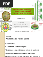 Anatomia e Funções da Raiz Vegetal | PDF | Raiz | Morfologia vegetal