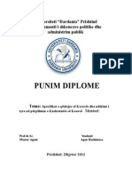 Punim Diplome-1
