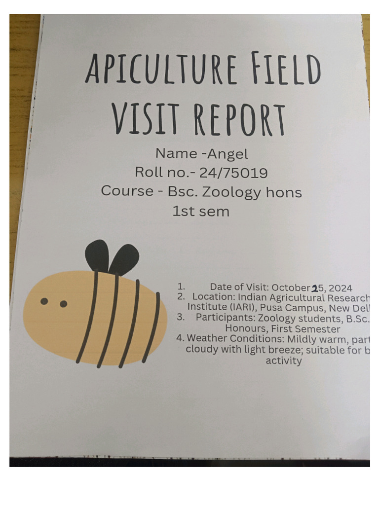Field Report | PDF
