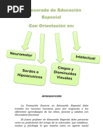 Plan de Estudios Licenciatura en Educación Especial | PDF | Pedagogía ...