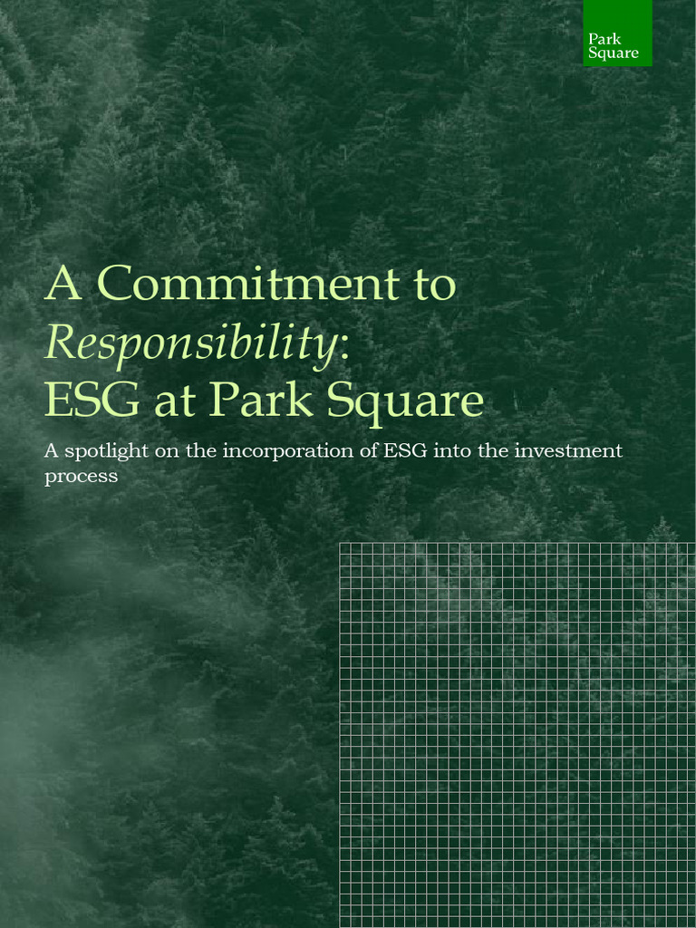 Stakeholder Perspectives on ESG at Park Square | PDF | Risk | Risk ...
