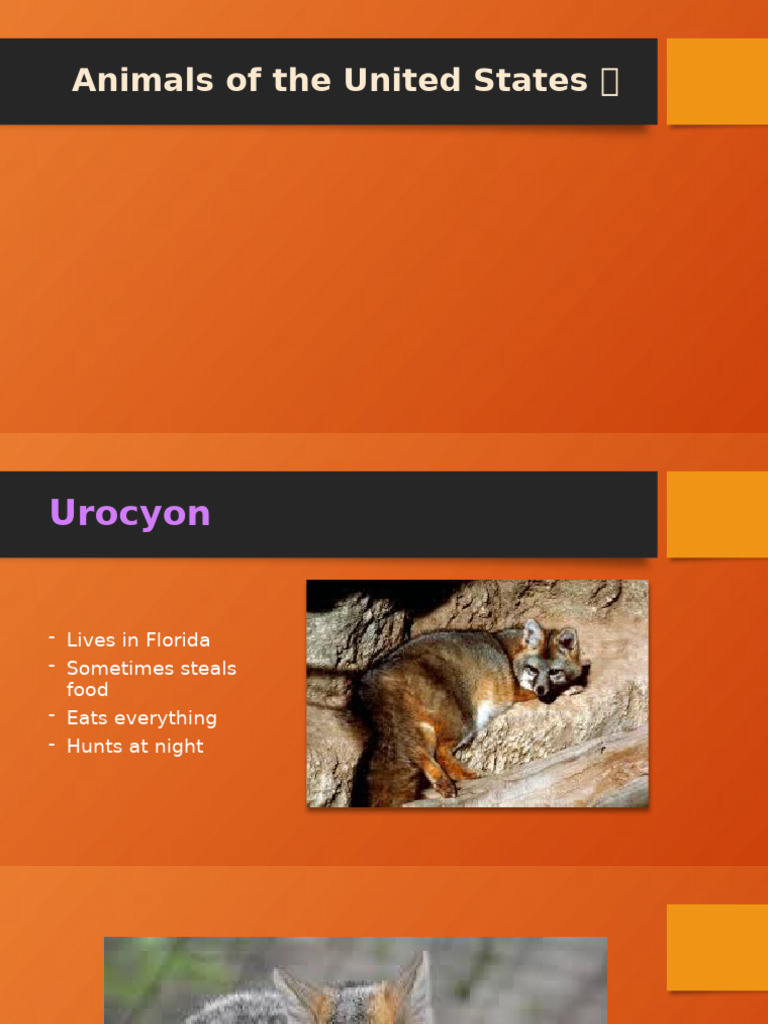 Wildlife of the United States: Key Species | PDF