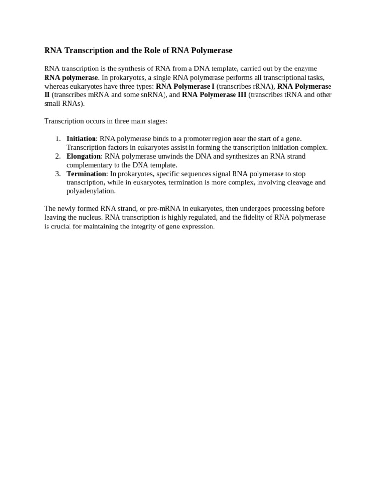 RNA Transcription and The Role of RNA Polymerase | PDF