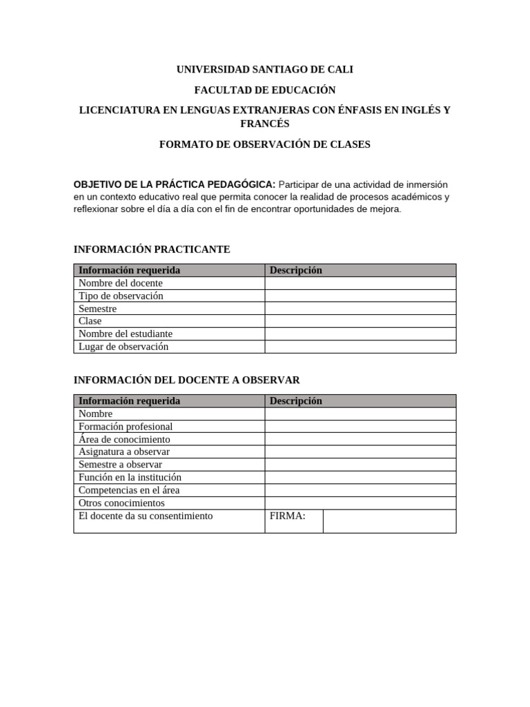 Class Observation Format Pdf