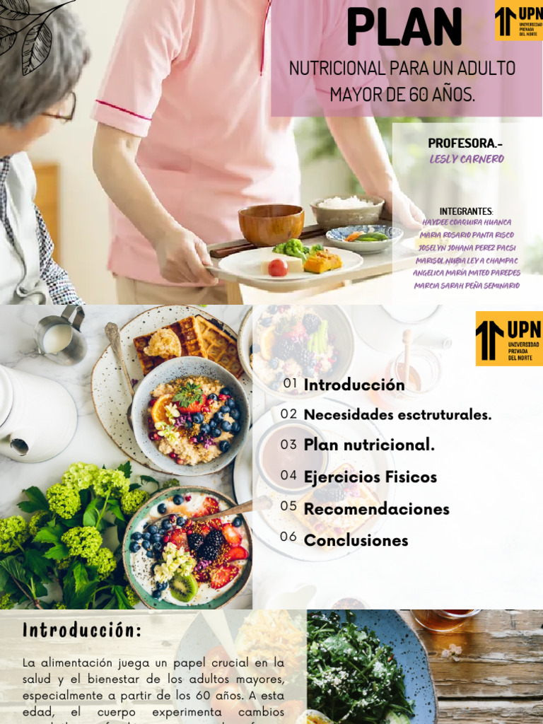Plan Nutricional para Adultos Mayores | PDF | Alimentos | Nutrición
