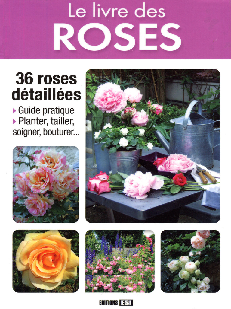 Les Roses Compress | PDF