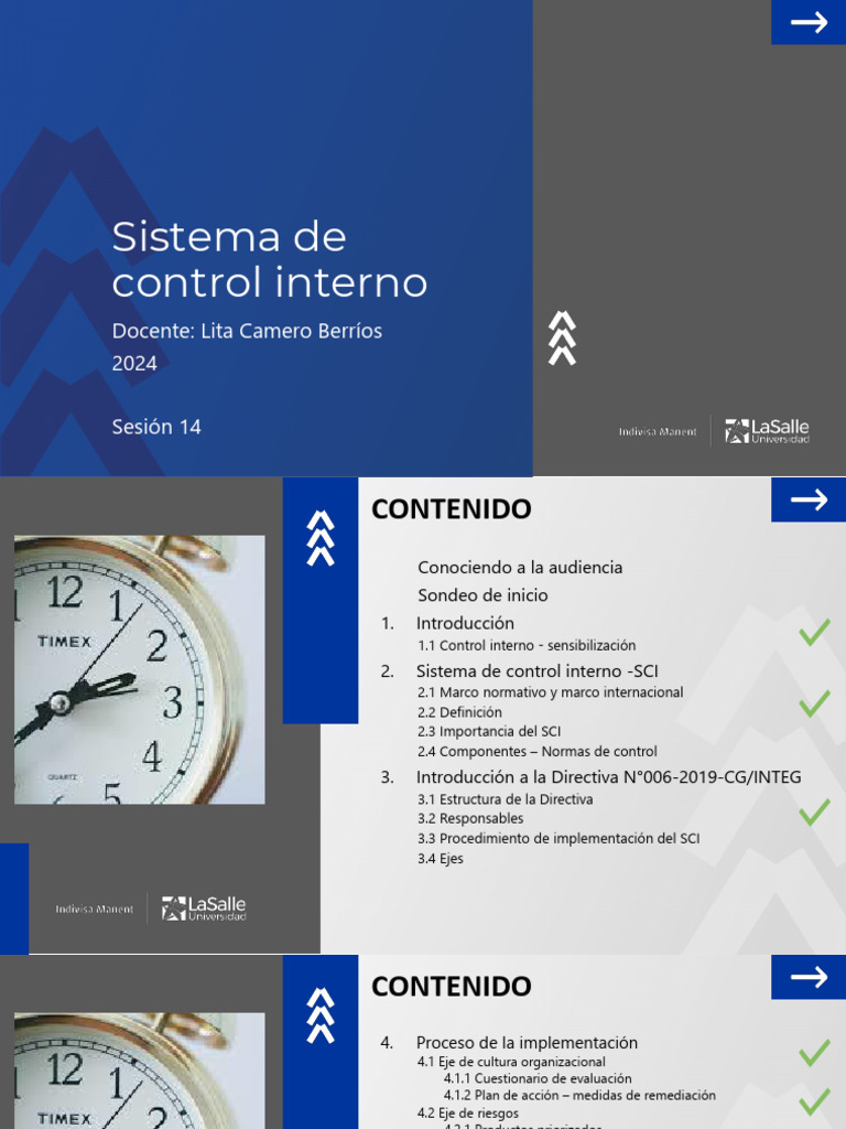 Componentes del Sistema de Control Interno | PDF | Negocios