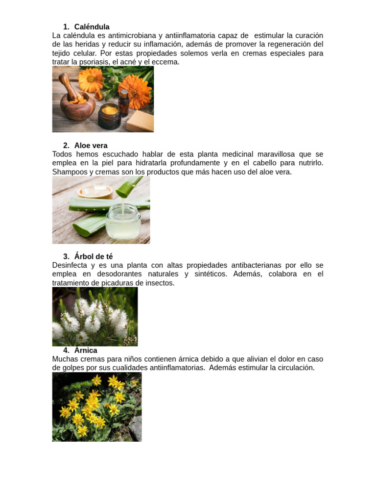 Figuras de Plantas Utiles para El Ser Humano para Que Sirven | PDF