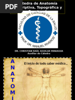 Netter Corazon | PDF | Ventrículo (corazón) | Corazón