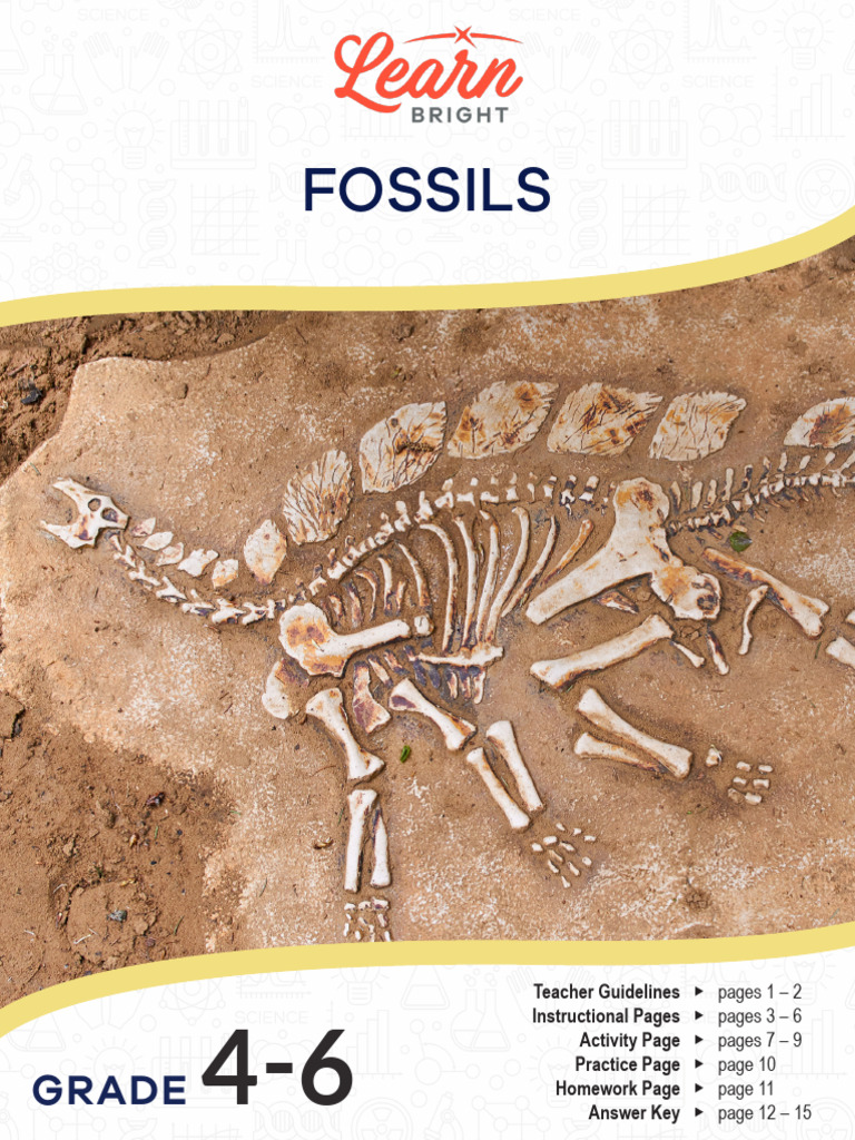 Fossils Pdf Fossil Dinosaurs