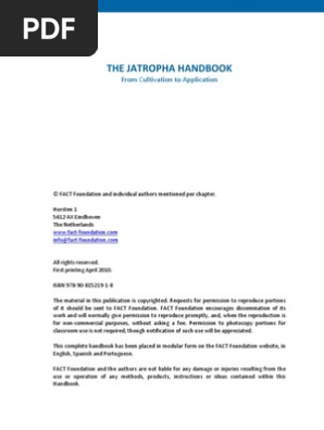 Fact Foundation Jatropha Handbook 2010 Plant Nursery Seed